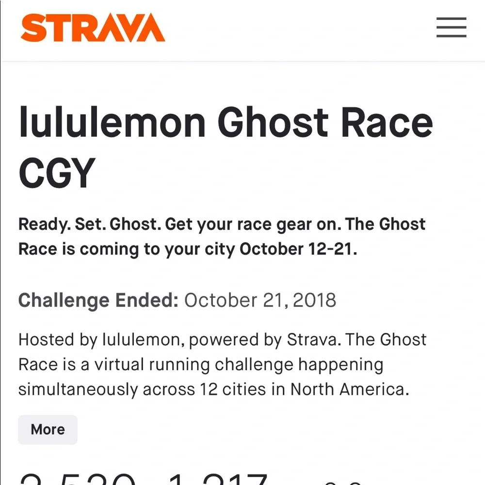 RARE lululemon Ghost Race Baller Hat - Picture 8 of 8